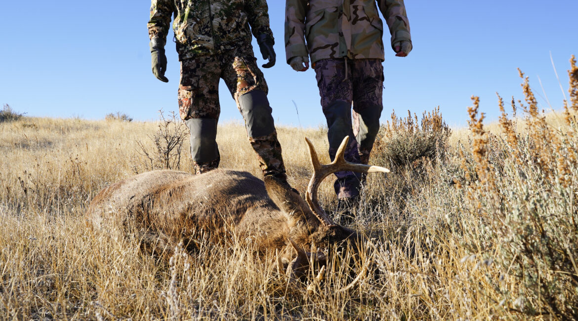 Traditional weapons used for whitetail deer hunting