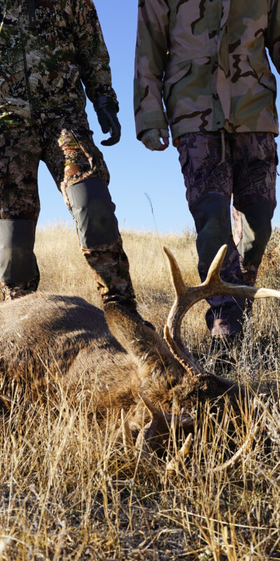 Traditional weapons used for whitetail deer hunting
